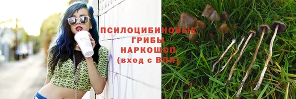 каннабис Няндома