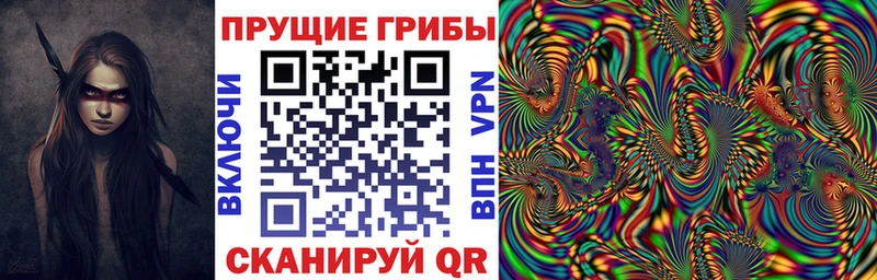 маркетплейс состав  Дмитров  Галлюциногенные грибы Psilocybine cubensis 